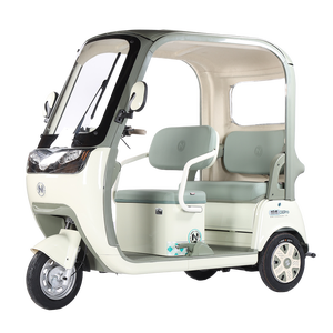 Thép điện ba bánh động cơ trimoto di động bánh xe trycicle đóng hàng hóa điện ba bánh với EEC giấy chứng nhận - Product Image 1