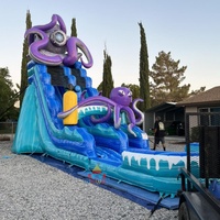 Toboggan gonflable commercial sur le thème de la pieuvre, PVC durable, avec piscine anti-éclaboussures, idéal pour les fêtes d'été en plein air pour enfants et adultes