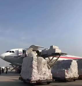 Service de logistique USPS express porte-à-porte de la <span class=keywords><strong>Chine</strong></span> vers les États-Unis, agent de <span class=keywords><strong>colis</strong></span> de petite taille, agent de fret aérien, expédition d'une seule pièce - Product Image 3