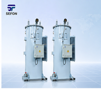 Régulateur de tension monophasé AVR 11kV 110kVA 100A pour système de production électrique industriel en Asie centrale et en Russie
