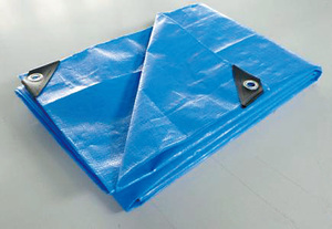 Bâche en plastique <span class=keywords><strong>agricole</strong></span> transparente en PE de 200 microns, film tissé pour <span class=keywords><strong>serre</strong></span>, couverture de pluie pour verger, vente en gros - Product Image 3