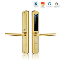 Venta al por mayor, teclado Tuya TTlock, manija de puerta corredera, huella dactilar de aluminio, cerradura de manija de puerta inteligente sin llave, cerradura inteligente