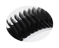 Plateaux de cils de volume de cils de vison de marque privée extensions de cils individuelles fournitures extensions de cils en cachemire