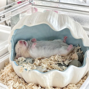 Nid et cachette rafraîchissants en céramique FifiGo pour <span class=keywords><strong>hamster</strong></span> et cochon d'Inde – Décoration maison de glace estivale - Product Image 2