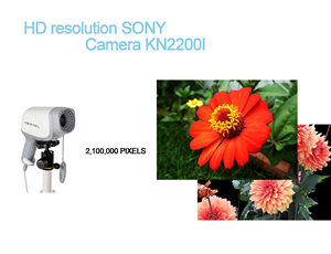 Y tế kỹ thuật số LED <span class=keywords><strong>Video</strong></span> soi cổ tử cung cho phụ khoa kiểm tra <span class=keywords><strong>video</strong></span> kỹ thuật số soi cổ tử cung Máy nội soi âm đạo - Product Image 6