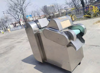 Volautomatische Commerciële Groentesnijder/Multifunctionele Shredder