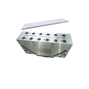 PVC/WPC/UPVC/PP/PE Foaming Mold Profile Extrusion Die Plastic Extrusion Mould For Wall Panels, Flooring, Grille Panels