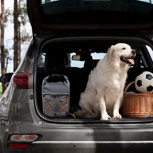 Muestra gratuita: Bolsa de almacenamiento de comida para perros, portátil, de gran capacidad, impermeable, resistente a arañazos, para viajes y camping. - Product Image 2
