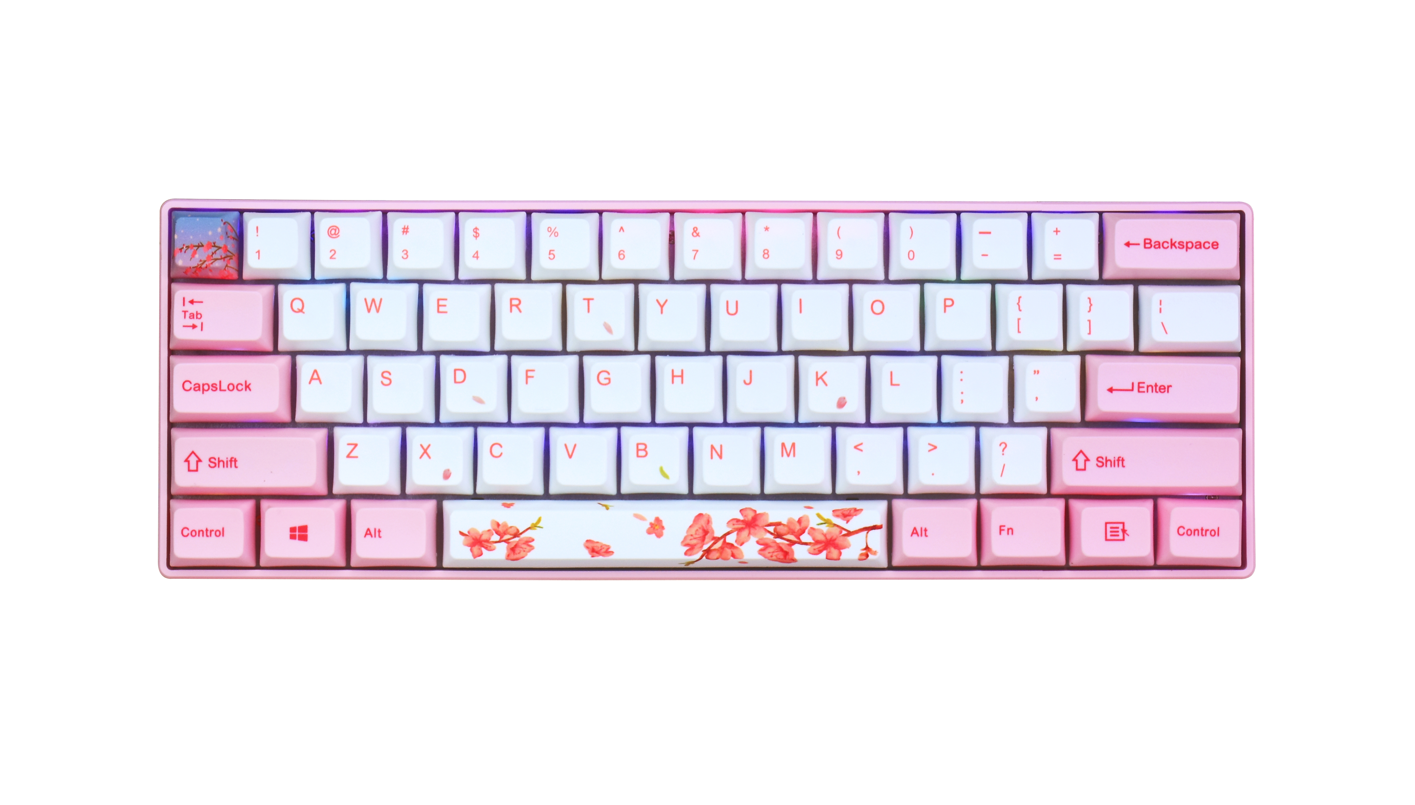 Rosa