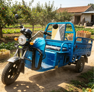 Triciclo NC05 EEC COC Xiamen 3plus Technology Co Ltd de Carrocería Abierta de 1000W para Adultos - Product Image 1