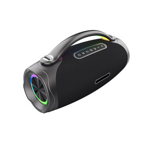 FANSBE extérieur 80W Boombox haut-parleurs Bluetooth basse fort lecteur Audio Portable 3D caisson de basses stéréo avec Microphone sans fil - Product Image 2