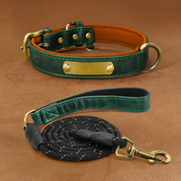 Collier et laisse pour chien de style luxueux personnalisable, solide, avec décoration en rivets, motif imprimé personnalisé, accessoire pour animaux de compagnie