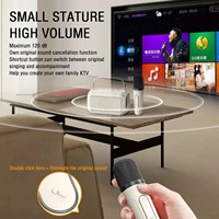 Reproductor de Música Portátil con 4 Voces Mágicas y Luces LED de Colores, Juguete Infantil, Mini Máquina de Karaoke