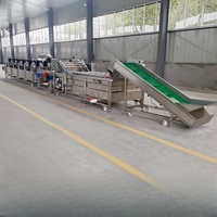 Nouvelle ligne de traitement entièrement automatique pour le tri, la découpe, le lavage, le séchage et la pasteurisation des légumes et des fruits, en acier inoxydable SUS304