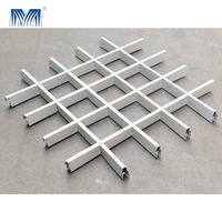 Mur rideau alliage Al grille acoustique déflecteur tuile 600x600 zinc bois plafond décor U déflecteur aluminium bande panneau de plafond