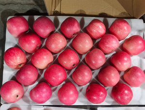 Pommes rouges fraîches de qualité supérieure, best-seller en Chine, pommes rouges naturelles, délicieuses et sucrées, pommes Fuji, Manzanas - Product Image 5