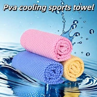 Peignoir pour animaux de compagnie en PVA super absorbant et écologique, séchage rapide, confortable et chaud, pour chiens et chats, avec logo personnalisé