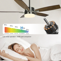 SLF Vitesse du vent élevée 42 pouces 48 pouces 52 pouces contreplaqué 5 pales salon intérieur décoratif Led ventilateur de plafond lumière
