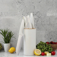 Ensemble de 5 couteaux de cuisine de haute qualité en acier inoxydable avec manche en plastique ambidextre, ciseaux à viande et tube de rangement