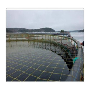 Solución para la Cría de Tilapia: Jaula de HDPE para Peces en el Lago <span class=keywords><strong>Victoria</strong></span> para los Países del Cuenca del Lago <span class=keywords><strong>Victoria</strong></span> - Product Image 3