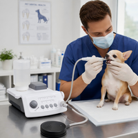 Détartreur dentaire ultrasonique avec entrée 100V 240V et sortie stable pour usage vétérinaire (chiens et chats)