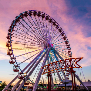 Precio barato Parque Temático Paseos Feria Noria para la venta - Product Image 4