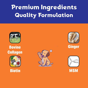 Köpekler için en çok satan ve özelleştirilebilir ortak sağlık ve hareketlilik damlaları-ortak destek ve esneklik için sıvı kollajen takviyesi - Product Image 5