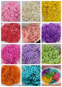 M3-120g fabrika toptan korunmuş doğal Gypsophila kurutulmuş çiçekler dalları Babys nefes buket çiçekler