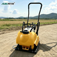 Compacteur à plaques C90 6,5 CV à essence, compacteur vibrant 15KN, profondeur 30 cm pour la réparation et la construction routière en Asie du Sud-Est