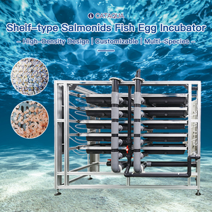 Équipement d'écloserie modulaire robuste pour œufs de truite, système <span class=keywords><strong>RAS</strong></span> d'élevage de crabes avec cône à oxygène pour aquaculture intensive - Product Image 1