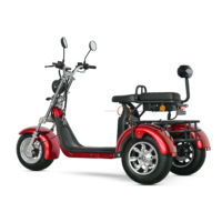 Harga Grosir Truk Kargo Roda Tiga Sepeda Listrik SHANSU CP-3 2000W Sepeda Listrik Roda Tiga Kecepatan 45KM/J Bersertifikat EEC COC