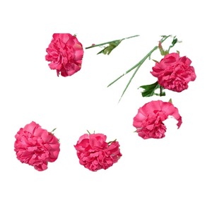 Flores Artificiales de Seda YLGY Scabiosa, Decoraciones para Bodas, Arreglos para Piso, Moldeado por Inyección, Ecológicas - Product Image 5