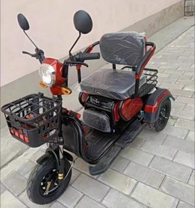 Triciclo de Pasajeros, Motocicleta de 3 Ruedas, Carrocería Abierta, para Adultos, Motorizado, 60V 600W, Carga Útil de 200-300 kg, 30-50 km/h - Product Image 4
