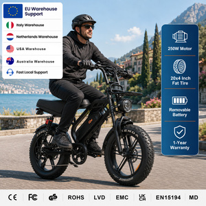 QMHEEL V20 Limited, Bicicleta Eléctrica Urbana de 48V con Batería de Litio, Bicicleta de Montaña Eléctrica, Batería Extraíble, Distribuidor en Italia, B2B - Product Image 1