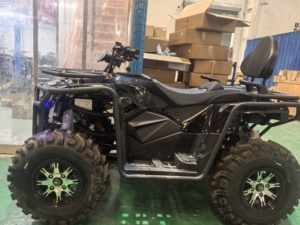 Nuovo Arrivo AODES Pathcross 650 4x4 Veicolo Fuoristrada ATV Quadriciclo 650cc 4WD Buggy Quad Bike - Product Image 5