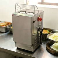 EM-20 Automatische RVS Fruit- en Groentesnijder/Schaafmachine, 2-6mm verstelbaar, voor voedselverwerkende bedrijven