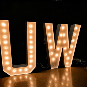 Customized large <b>letter</b> <b>lights</b>, giant LED illuminated number <b>lights</b>, acrylic material, AC power supply - Product Image 2