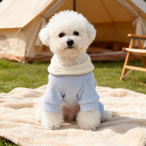 Suéter PETCIRCLE para Perros Pequeños y Cachorros, Otoño/Invierno, Cálido y Lindo, con Orejas de Nube, de Cuatro Patas, para Perros y Gatos - Product Image 3