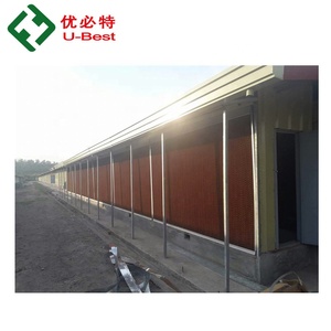 อุปกรณ์เลี้ยงไก่เนื้อ/สัตว์ปีกอัตโนมัติ ใช้ได้กับระบบการเลี้ยง<span class=keywords><strong>ไก่</strong></span>/การเลี้ยงสัตว์ที่ทันสมัยและมีประสิทธิภาพ - Product Image 6