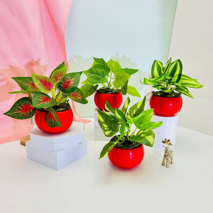 Plante verte artificielle en pot, mini ornement, pot de fleurs hydroponique, décoration de bureau, décoration festive, décoration de Noël - Product Image 3