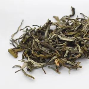 Premium Organic Green Tea Chinese Garden Supplier Jasmine Green Tea For Milk Tea Shop