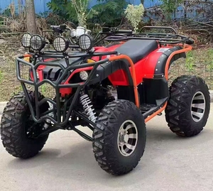 Quad à transmission automatique à chaîne 250cc 2WD à vitesse maximale supérieure LNA pour adultes - Product Image 5