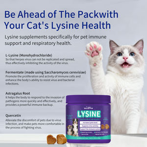 อาหารเสริมแอลไลซีนสำหรับแมวสำหรับจามน้ำมูกไหลเย็นภูมิคุ้มกันสนับสนุนการทำงานของตาและสุขภาพระบบทางเดินหายใจ - Product Image 2
