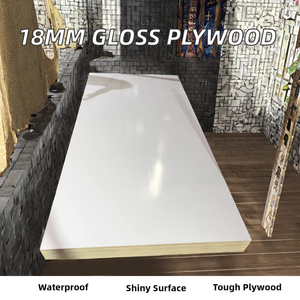 <span class=keywords><strong>Arlene</strong></span> 18mm blanco brillante marino laminado Casa de Campo diseño de madera contrachapada resistente al agua 2 capas de melamina tablero E2 formaldehído - Product Image 2