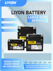 <span class=keywords><strong>Batterie</strong></span> de démarrage haute performance pour <span class=keywords><strong>moto</strong></span> 12V14Ah pour <span class=keywords><strong>YTX14</strong></span> Prix de gros d'usine Marque LIYON - Product Image 3