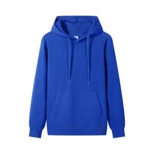 Logo personnalisé imprimé sweats à capuche en coton vierge décontracté de luxe survêtement unisexe polaire broderie en vrac poids lourd plaine sweats à capuche pour hommes