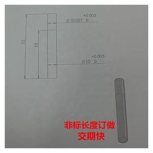 सटीक सुई बिक्री गठन प्लग पिन माप पिकेनेशन स्टिक 0.10 मिमी-50.00 मिमी प्लग गैरेज - Product Image 4