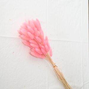 M714 <span class=keywords><strong>bouquet</strong></span> décoratif longue durée 60 <span class=keywords><strong>fleurs</strong></span> séchées naturelles queue <span class=keywords><strong>de</strong></span> lapin Bouquets d'herbe avec sac Opp - Product Image 5
