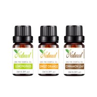 Parfum de maison 100% Pure Natural Cinnamon Leaf Sweet Orange Lemongrass Organic Aromatherapy Diffuseur d'huiles essentielles Set