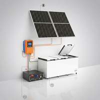 Заводская цена Tunto Green Power 24В Коммерческий солнечный морозильный ларь 450-1088 л, 2-3 двери, компрессорное охлаждение R134a, солнечные панели